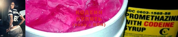 шишки Снежногорск