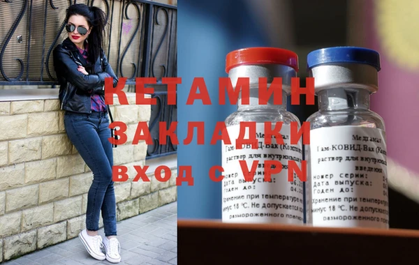 шишки Снежногорск