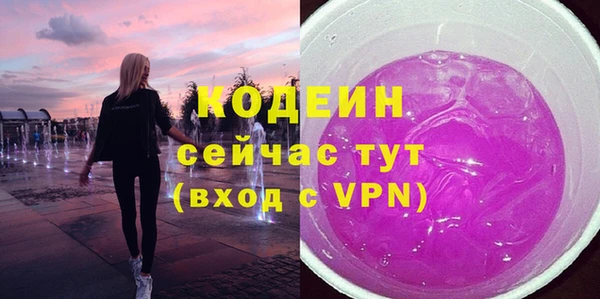 шишки Снежногорск