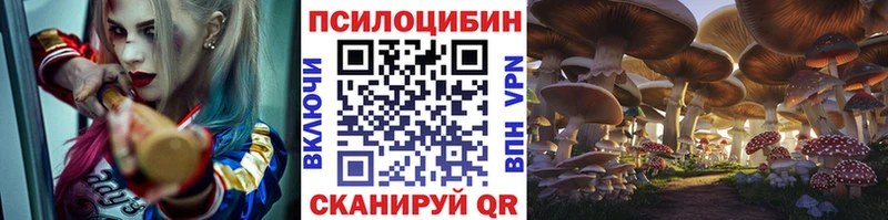 наркошоп  Нижний Ломов  KRAKEN   Псилоцибиновые грибы Cubensis 
